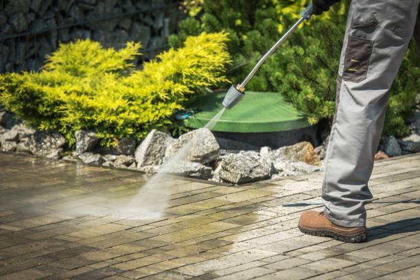 Best Dumpster Area Cleaning  in Buena Vista, CO