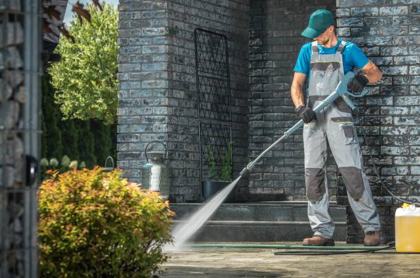 Best Driveway Pressure Washing  in Buena Vista, CO
