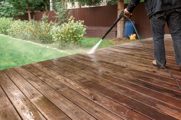 Best Solar Panel Cleaning  in Buena Vista, CO