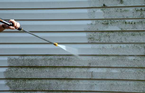 Best Parking Lot and Garage Cleaning  in Buena Vista, CO