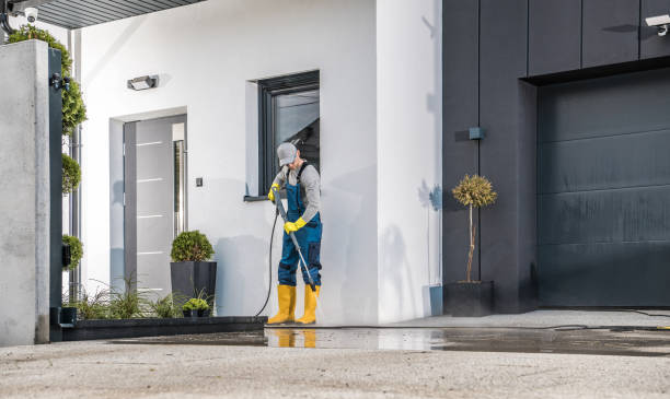 Best Factory Floor Cleaning  in Buena Vista, CO