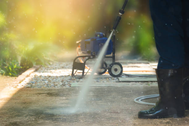 Best Restaurant Pressure Washing  in Buena Vista, CO